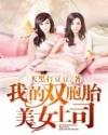 我的双胞胎总裁老婆