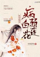 快穿病弱白莲花洗白记